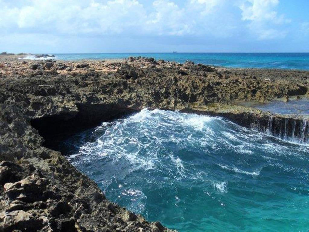 Aruba Cunucu Residence Palm Beach Eksteriør billede